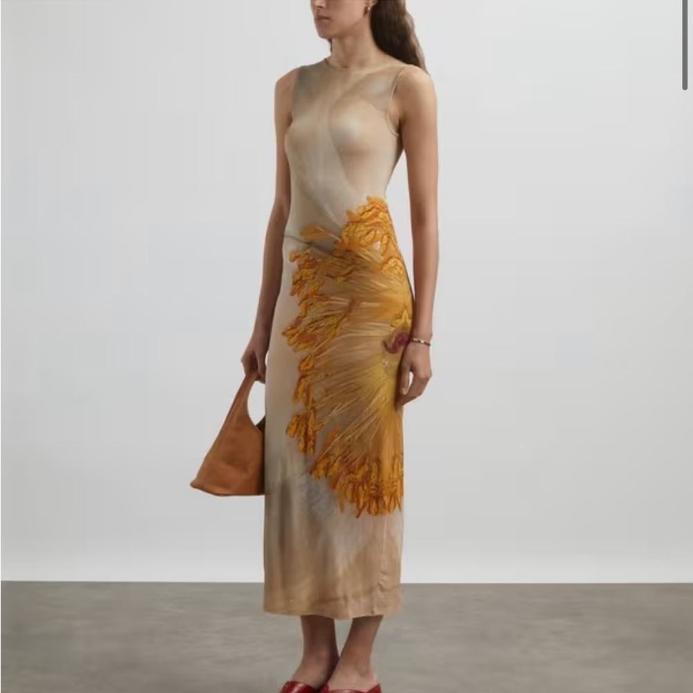 Paloma Wool fortunata floral mesh maxi dress